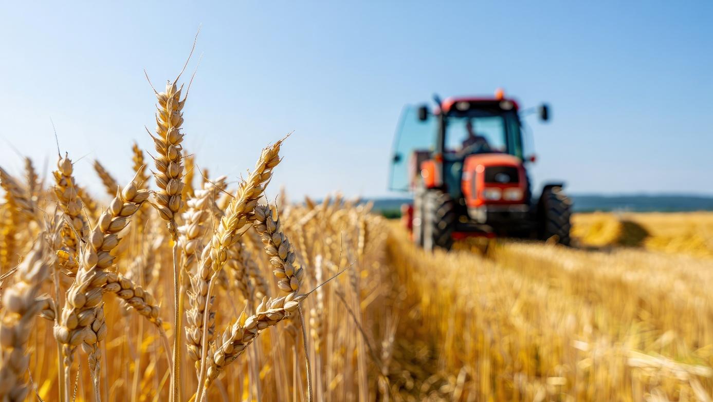 Traktor u žetvi pšenice — vrijeme za uzimanje uzoraka tla po strništu